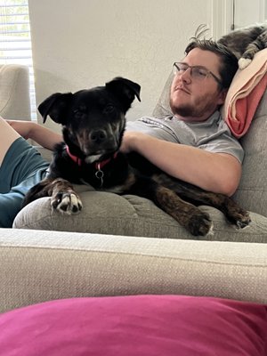 SUN VALLEY ANIMAL SHELTER - Updated August 2024 - 39 Photos & 104