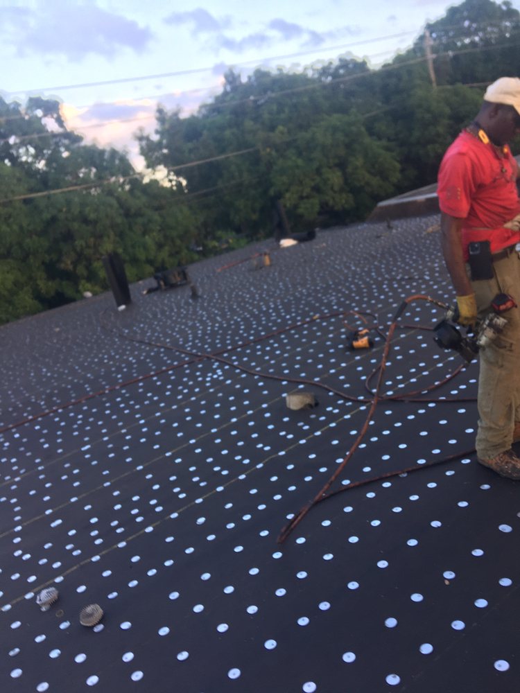 Slide of Tree Of The World Roofing