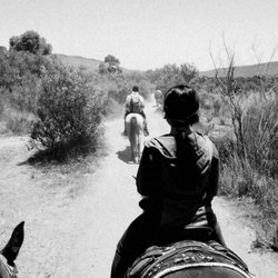 Traditional Horseriding of La Mision