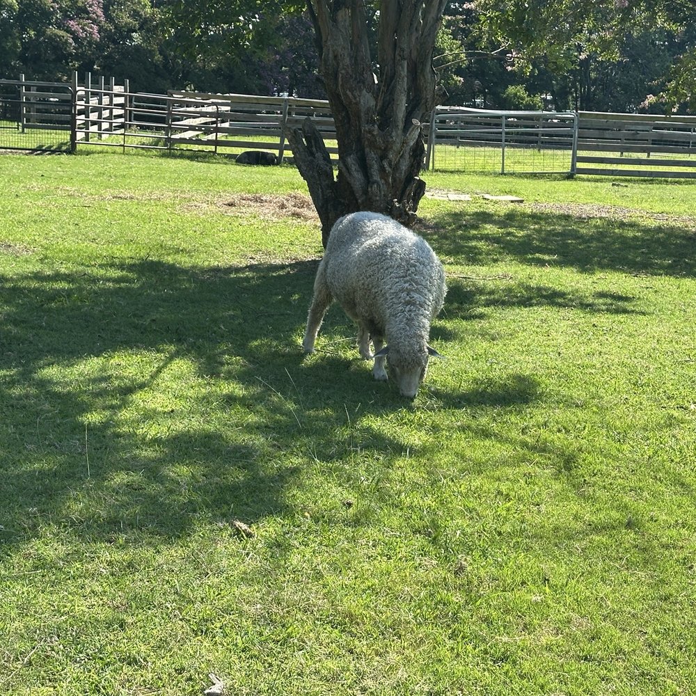 Bluebird Gap Farm - Parks Near Me - Hampton, Virginia Bluebird Gap Farm - Parks Near Me - Hampton, Virginia