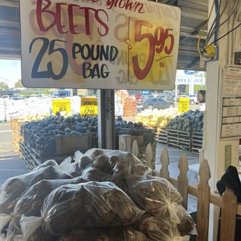 Carpinito Brothers - Beets! - Nurseries & Gardening Near Me - Kent, Washington