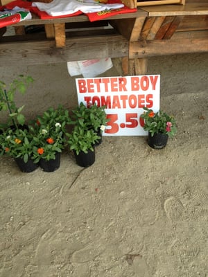 Bernie's Berries & Produce by null