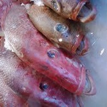 Safe Harbor Seafood - Seafood Near Me - Jacksonville, Florida