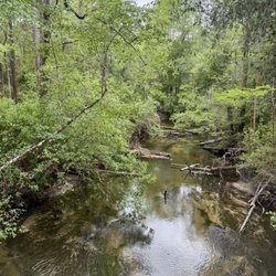 Arcadia Mill - Spring vibes