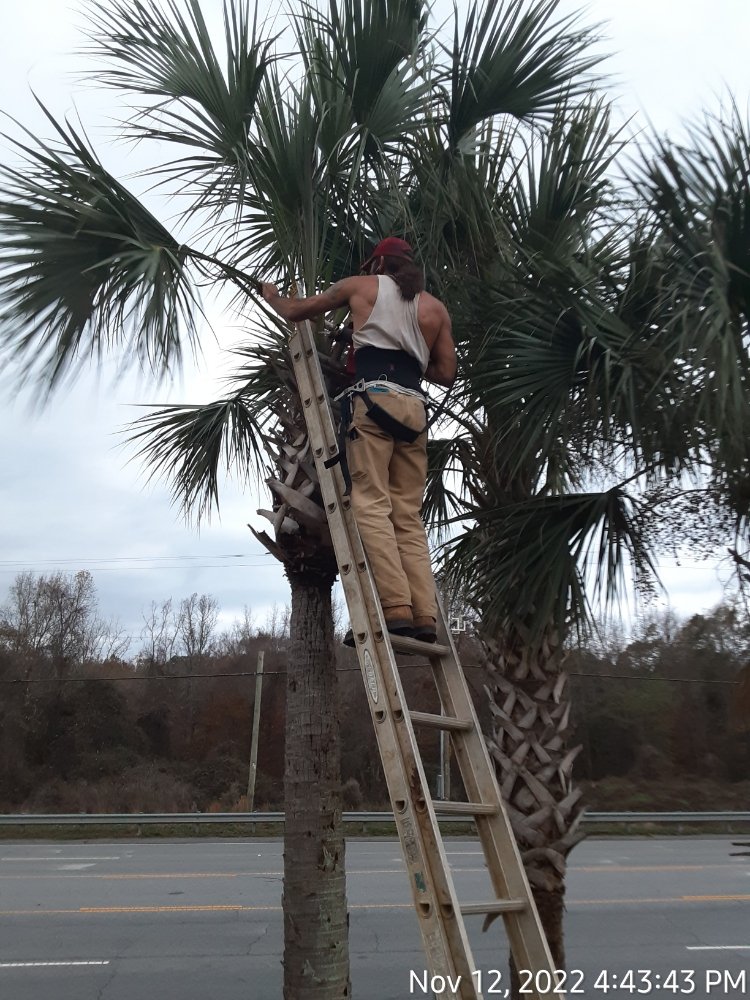 Bush Master Landscaping & Handyman Services, LP - veterans service organization in Laurens, SC