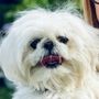 Photo of Feeders Pet Supply and Pet Wash