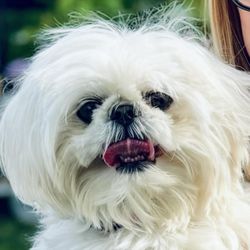 Feeders Pet Supply and Pet Wash - Happy customer (William)