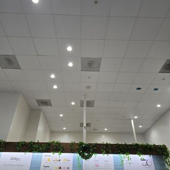 Nature's Organic Ice Cream - Ice Cream & Frozen Yogurt Near Me - Sunnyvale, California Nature's Organic Ice Cream - Ice Cream & Frozen Yogurt Near Me - Sunnyvale, California