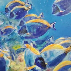 Island Gallery and Studios - Underwater art