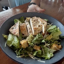 Grilled chicken Cesar salad wrap Grilled chicken Cesar salad wrap