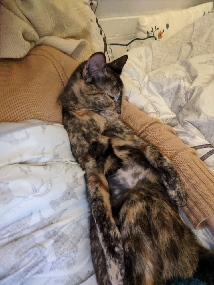 BRANFORD COMPASSION CLUB 2037 Foxon Rd, North Branford, Connecticut