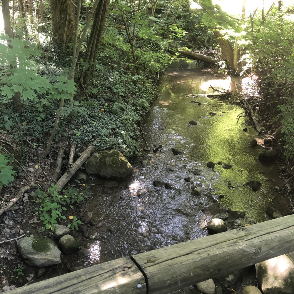 Creek Creek