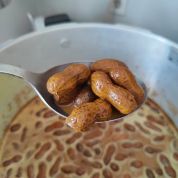 Kraken's Drowned Nuts - a spoon full of nuts - Food Stands Near Me - Orlando, Florida Kraken's Drowned Nuts - a spoon full of nuts - Food Stands Near Me - Orlando, Florida