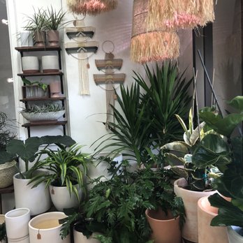 Botanic and Luxe - Gift Shops Near Me - Santa Cruz, California Botanic and Luxe - Gift Shops Near Me - Santa Cruz, California