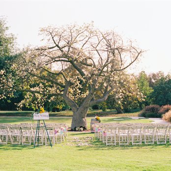 Fragrant Flowers - Hu's Wedding //photo credit:  http://www.katrinakimphoto.com/ - Florists Near Me - Alhambra, California