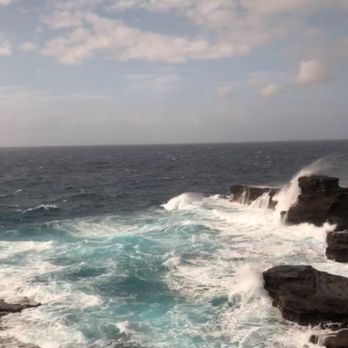 Hawaii Turtle Tours - Tours Near Me - Honolulu, Hawaii Hawaii Turtle Tours - Tours Near Me - Honolulu, Hawaii