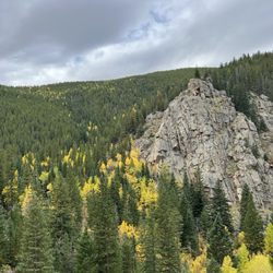 Mt. Evans Wilderness