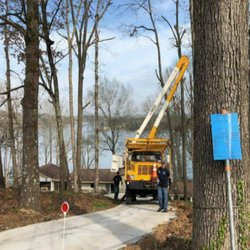 John Waldrop & Son Tree Service
