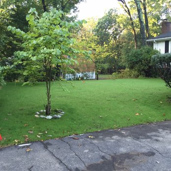 M.E. BASS LANDSCAPING - a tree in a yard - Landscaping Near Me - Burlington, Massachusetts M.E. BASS LANDSCAPING - a tree in a yard - Landscaping Near Me - Burlington, Massachusetts
