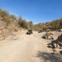 Photo of Throttle Monkey Outdoor Adventures