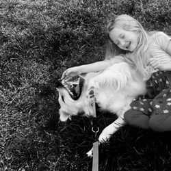 Storybrooke Goldens