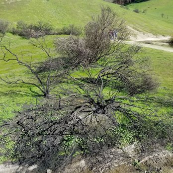 Shiloh Ranch Regional Park - Parks Near Me - Windsor, California Shiloh Ranch Regional Park - Parks Near Me - Windsor, California