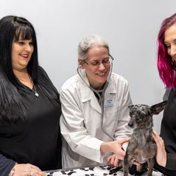 Express Vets