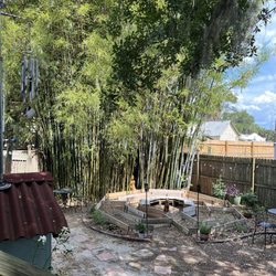 House Of Waking Life - HOWL - Outside area with bamboo