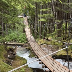 Grizzly Falls Zipline - Suspension bridge to next platform