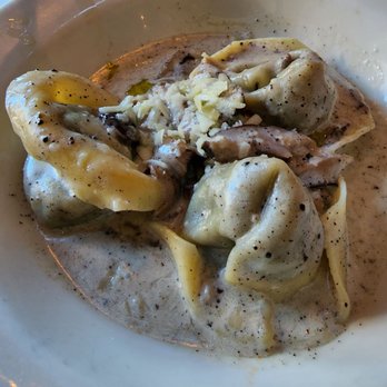 Il Davide - Tortellini Al Funghi Porcini - Italian Near Me - San Rafael, California Il Davide - Tortellini Al Funghi Porcini - Italian Near Me - San Rafael, California