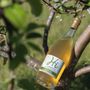 Photo of Hornby Island Estate Winery