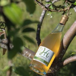 Hornby Island Estate Winery