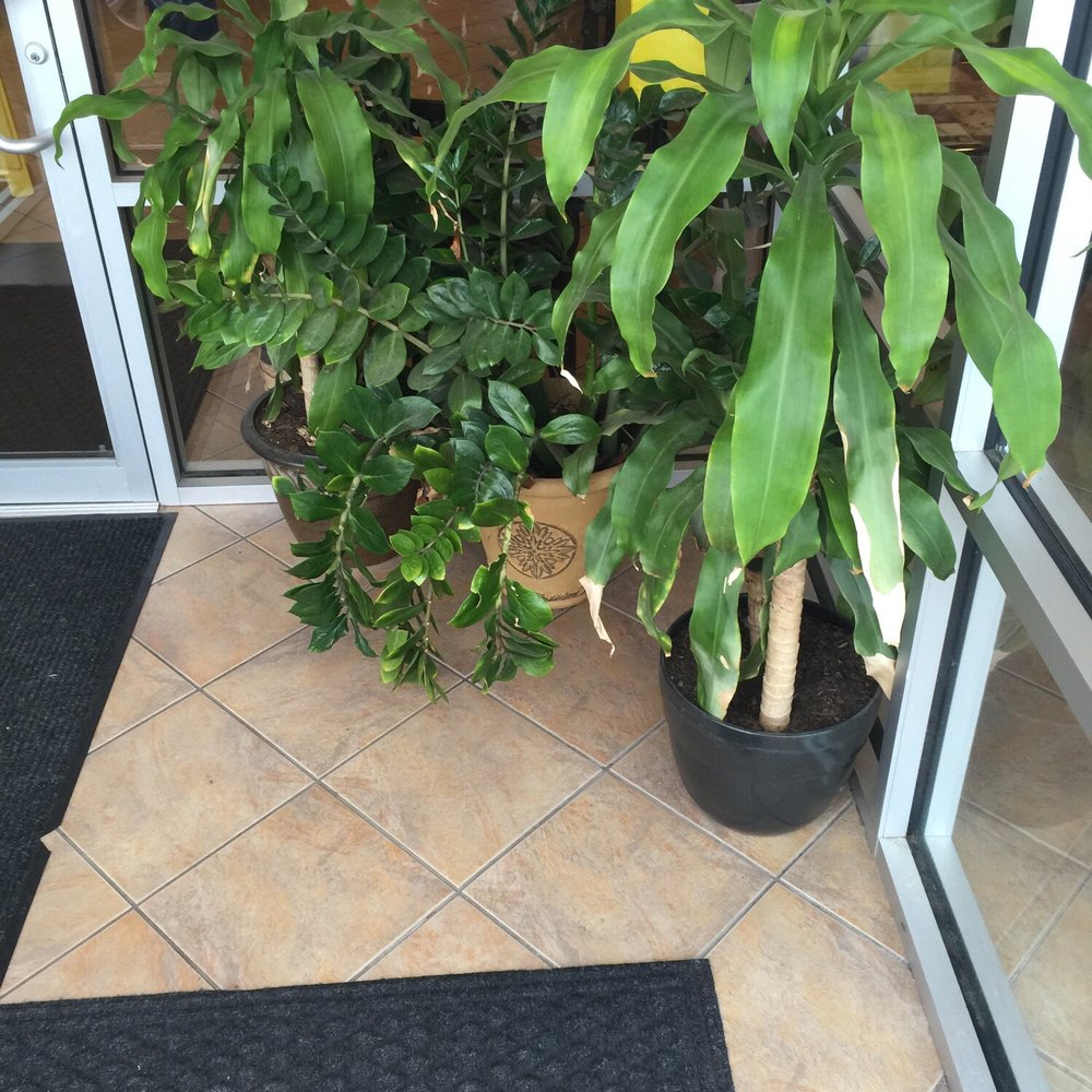 I like plants! I like plants!