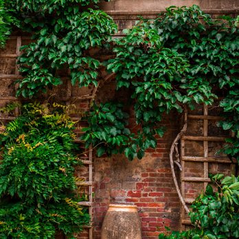 Dumbarton Oaks - Botanical Gardens Near Me - Washington, DC, District of Columbia