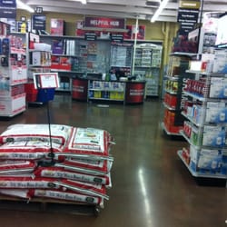 Ace - Inside the "Helpful Place"