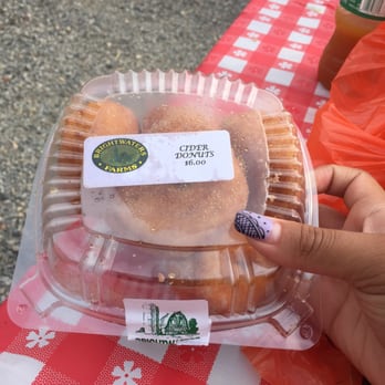 Brightwaters Farms - Apple cider donuts - Pumpkin Patches Near Me - Bay Shore, New York Brightwaters Farms - Apple cider donuts - Pumpkin Patches Near Me - Bay Shore, New York
