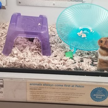 Petco - 7/30/22 - Pet Stores Near Me - Burke, Virginia