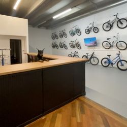 West Palm Bikes - West Palm Bikes Repair Desk