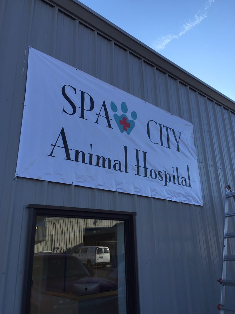 SPAW CITY ANIMAL HOSPITAL Updated August 2024 4013 N Hwy 7, Hot Springs, Arkansas