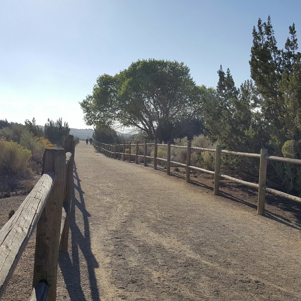 Barrel Springs Trail - Pics from the Barrel Springs Trail - Hiking Near Me - Palmdale, California Barrel Springs Trail - Pics from the Barrel Springs Trail - Hiking Near Me - Palmdale, California
