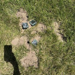 Rick's Gopher Service - Gopher holes and the useless sonar spikes I thought would work.