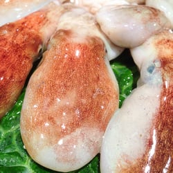 Mercat Collblanc - Pulpos playa