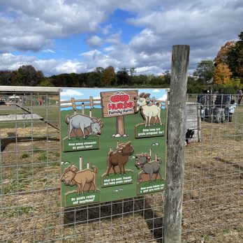 Hurds Family Farm - Animals - Fruits & Veggies Near Me - Modena, New York