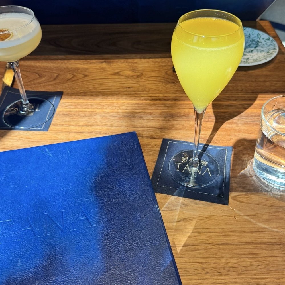 Mimosa Mimosa
