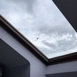 Abbeyville - Skylight!