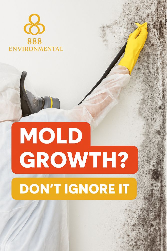 888 Environmental - mold inspector in West Hollywood, CA