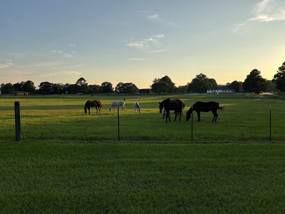 Harper Farms - equestrian in Northport, AL