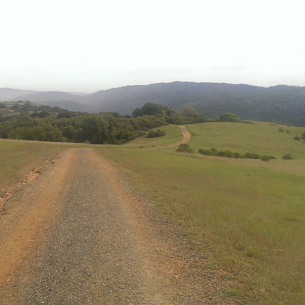 Black Mountain Trail - Hiking Near Me - Los Altos, California Black Mountain Trail - Hiking Near Me - Los Altos, California
