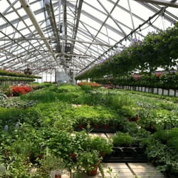 Kane's Flower World - Amazing! 17 greenhouses!