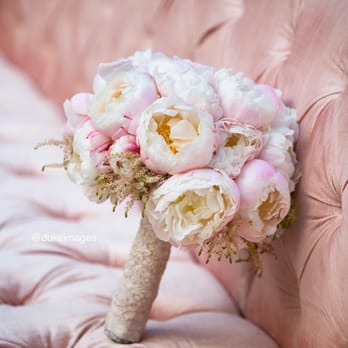 Aliana Events - Party & Event Planning Near Me Aliana Events - Party & Event Planning Near Me